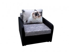 Кресло кровать Канзасик с подлокотниками кот голубые глаза в Миассе - miass.mebel74.com | фото