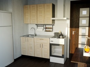 Кухонный гарнитур Ника лайт 1200 мм в Миассе - miass.mebel74.com | фото