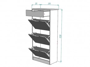 Обувница W24 в Миассе - miass.mebel74.com | фото 3