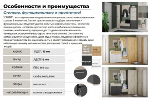 Прихожая Санти Антрацит в Миассе - miass.mebel74.com | фото 5