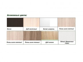 Шкаф-купе Хит-У-24-4-11 с разделителями в Миассе - miass.mebel74.com | фото 2