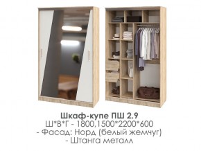 шкаф-купе ПШ-2.9 1500 Норд Белый жемчуг 1500 в Миассе - miass.mebel74.com | фото