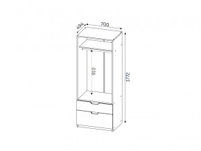 Шкаф с 2-мя ящиками ЛДСП Фаворит в Миассе - miass.mebel74.com | фото 2