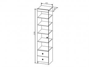 Шкаф Сканди ШД450.1 в Миассе - miass.mebel74.com | фото 2